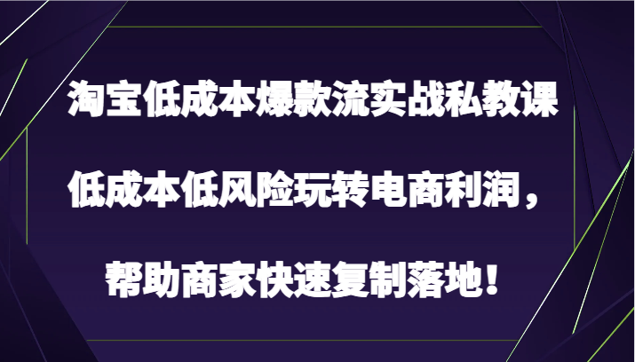 淘宝低成本爆款流实战私教课，低成本低风险玩转电商利润，帮助商家快速复制落地！-创业项目网