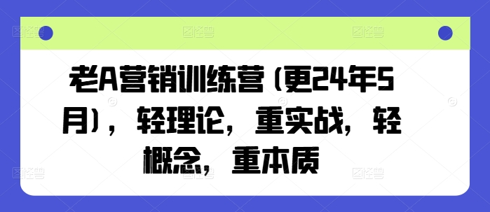 老A营销训练营(更24年5月)，轻理论，重实战，轻概念，重本质-创业项目网