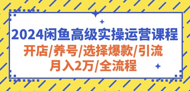 2024闲鱼高级实操运营课程：开店/养号/选择爆款/引流/月入2万/全流程-创业项目网