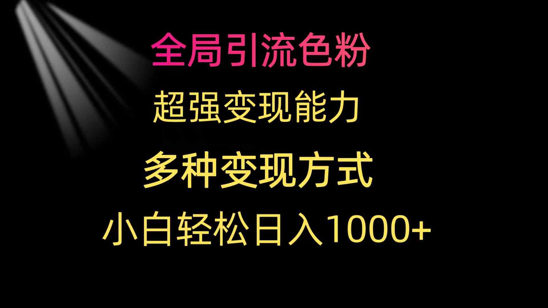 （9680期）全局引流色粉 超强变现能力 多种变现方式 小白轻松日入1000+-创业项目网