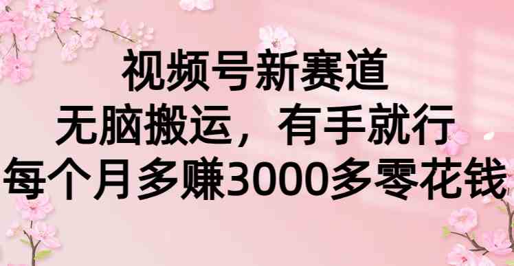 （9277期）视频号新赛道，无脑搬运，有手就行，每个月多赚3000多零花钱-创业项目网