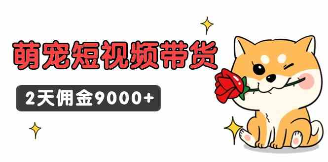 （9273期）东哲日记·萌宠短视频带货，2天佣金9000+-创业项目网