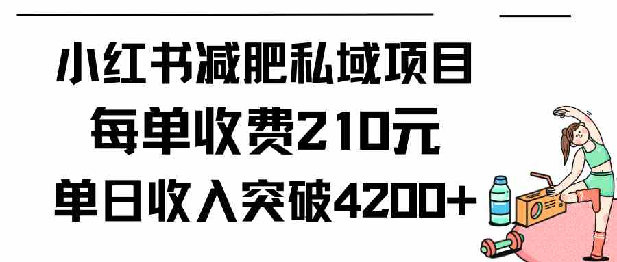 （9466期）小红书减肥私域项目每单收费210元单日成交20单，最高日入4200+-创业项目网