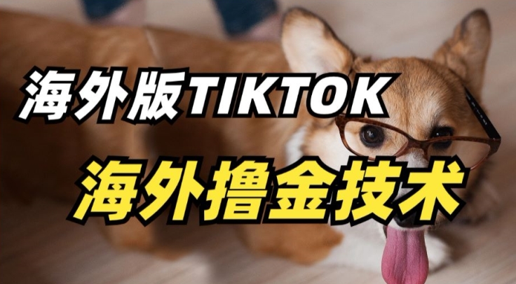 抖音海外版tiktok撸金技术，这个风口行业，赚钱真的不难-创业项目网