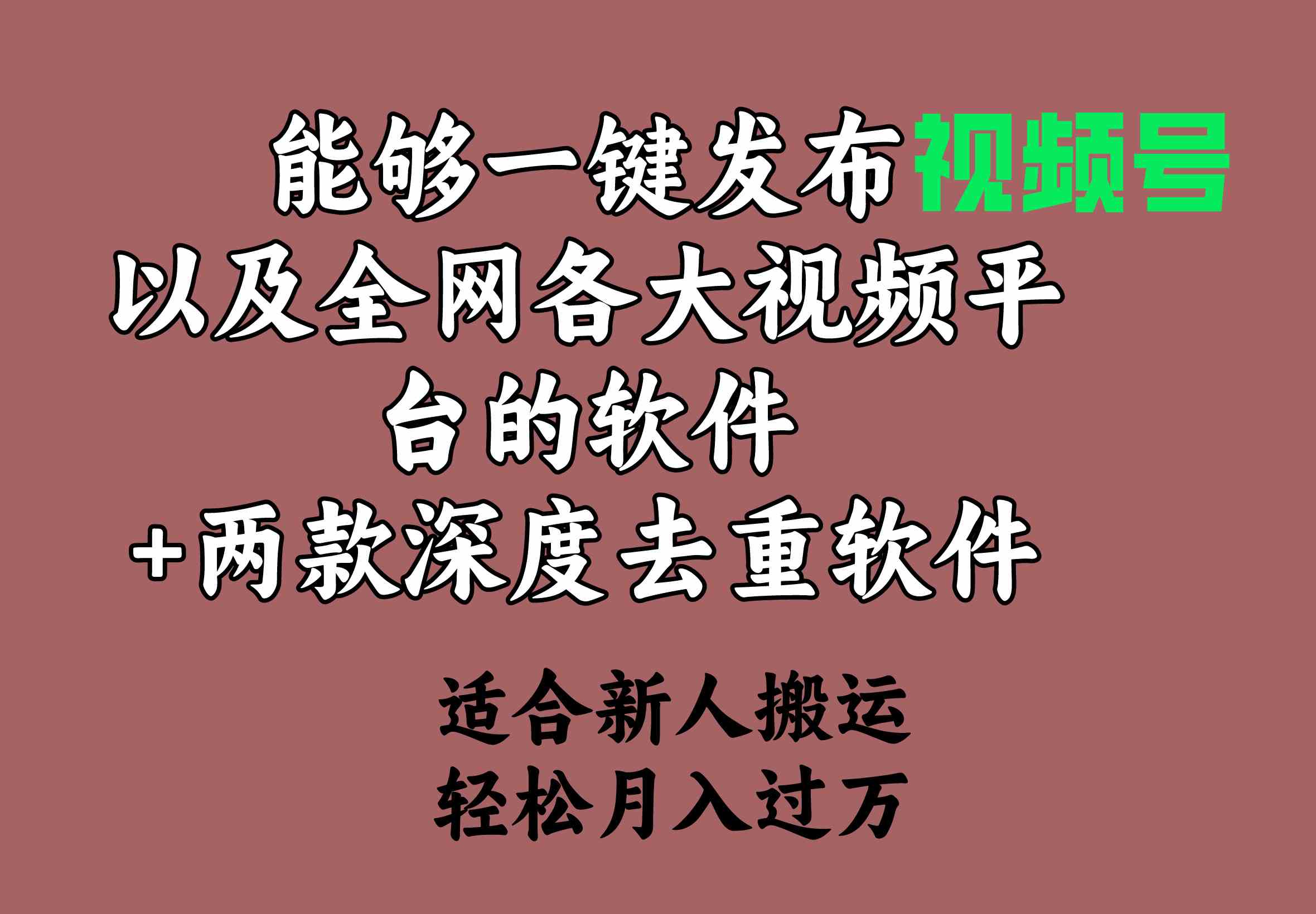 （9319期）能够一键发布视频号以及全网各大视频平台的软件+两款深度去重软件 适合…-创业项目网