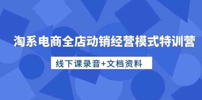 （10192期）淘系电商全店动销经营模式特训营，线下课录音+文档资料-创业项目网