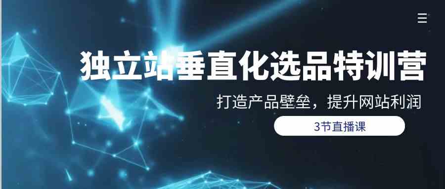 独立站垂直化选品训练营，打造产品壁垒，提升网站利润（3节直播课）-创业项目网
