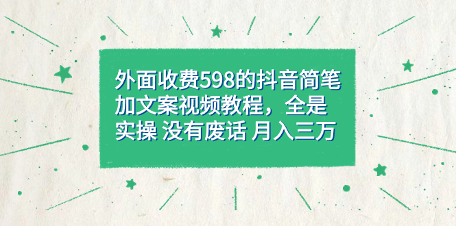 外面收费598抖音简笔加文案教程，全是实操 没有废话 月入三万（教程+资料）-创业项目网