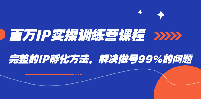 百万IP实战训练营课程，完整的IP孵化方法，解决做号99%的问题-创业项目网