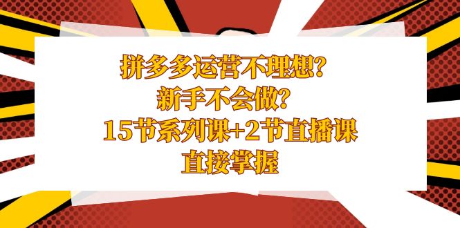 拼多多运营不理想？新手不会做？15节系列课+2节直播课，直接掌握-创业项目网