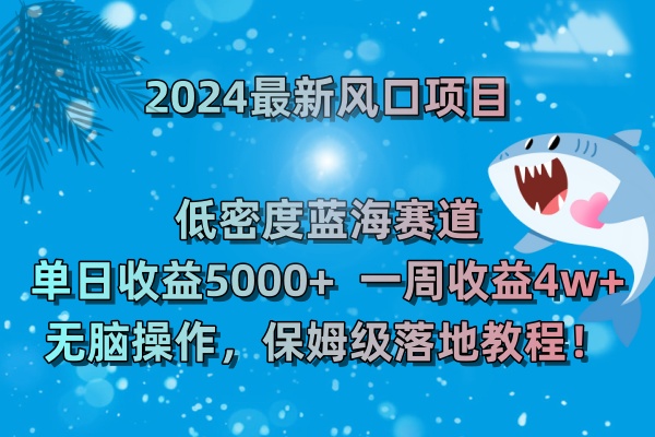 2024最新风口项目 低密度蓝海赛道，日收益5000+周收益4w+ 无脑操作-创业项目网