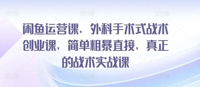 闲鱼运营课，外科手术式战术创业课，简单粗暴直接，真正的战术实战课-创业项目网