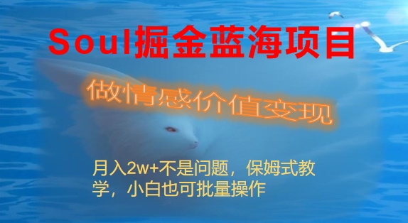 Soul掘金蓝海项目细分赛道，做情感价值变现，月入2w+不是问题-创业项目网