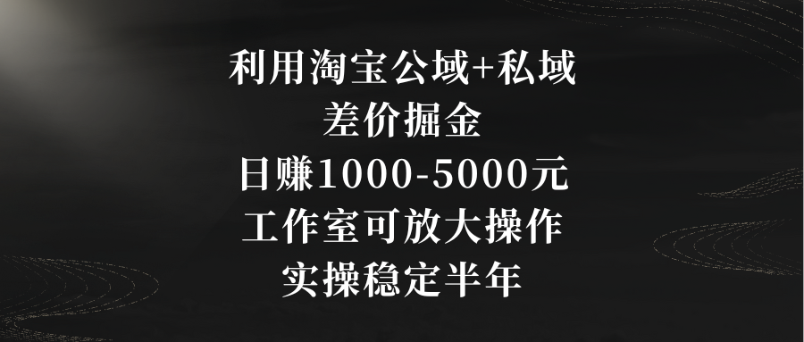 利用淘宝公域+私域差价掘金，日赚1000-5000元，工作室可放大操作，实操…-创业项目网