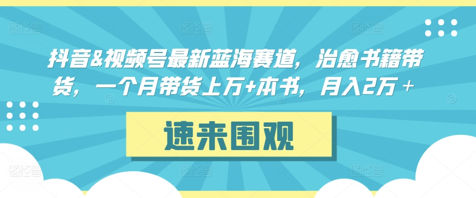 抖音&视频号最新蓝海赛道，治愈书籍带货，一个月带货上万+本书，月入2万＋-创业项目网