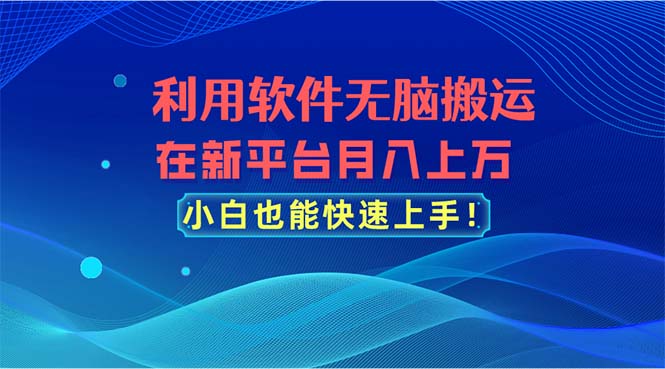 利用软件无脑搬运，在新平台月入上万，小白也能快速上手-创业项目网