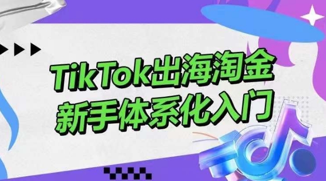 TikTok出海淘金，新手体系化入门，零基础快速入门，掌握短视频、直播带货等引流到变现的知识-创业项目网