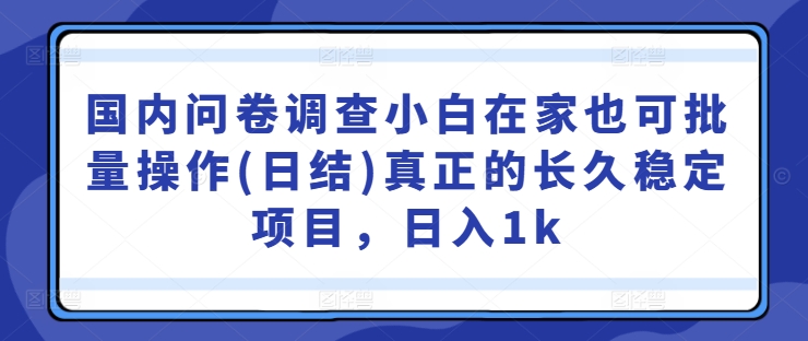 国内问卷调查小白在家也可批量操作(日结)真正的长久稳定项目，日入1k【揭秘】-创业项目网