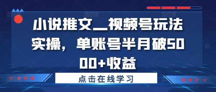 小说推文—视频号玩法实操，单账号半月破5000+收益-创业项目网