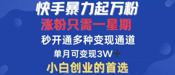 快手暴力起万粉，涨粉只需一星期，多种变现模式，直接秒开万合，单月变现过W【揭秘】-创业项目网