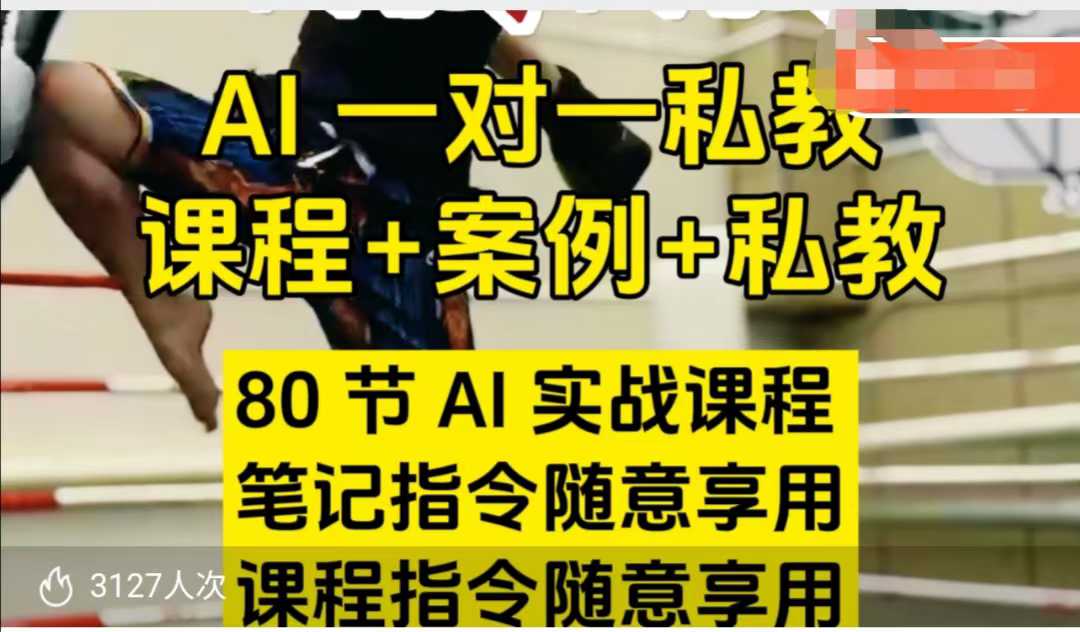 AI指令实战课，课程+案例，80节AI实战课程，笔记指令随意享用，课程指令随意享用（更新7月）-创业项目网