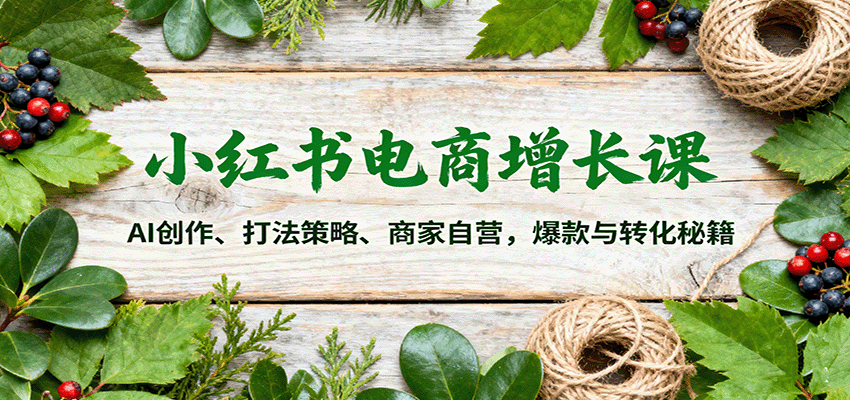 小红书电商增长课：AI创作、打法策略、商家自营，爆款与转化秘籍-创业项目网