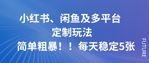 小红书、闲鱼及多平台定制玩法简单粗暴！每天稳定5张-创业项目网