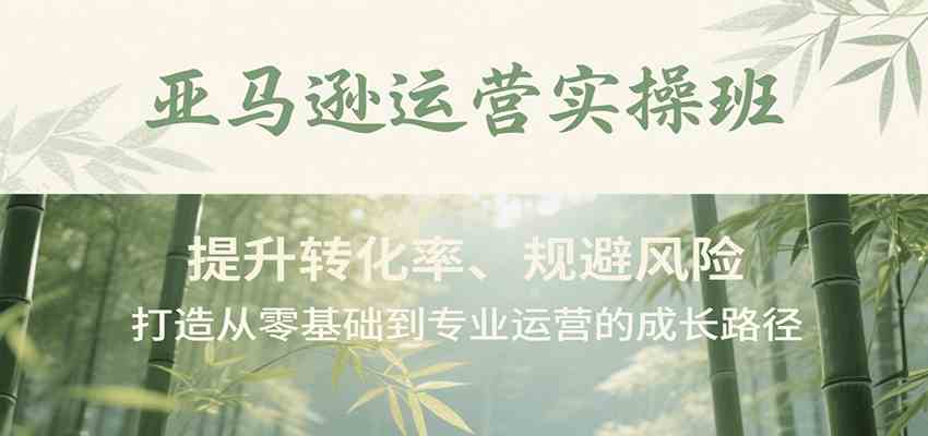 亚马逊运营实操班，提升转化率、规避风险，打造从零基础到专业运营的成长路径-创业项目网