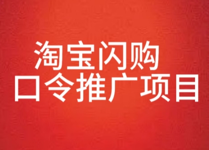 淘宝闪购口令推广项目，收益可观，一部手机，一个抖音号即可操作-创业项目网