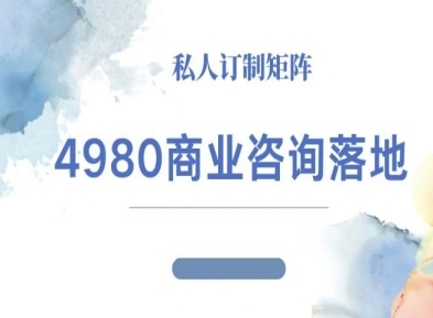 4980商业咨询师落地课程-ip运营高客单教程-创业项目网