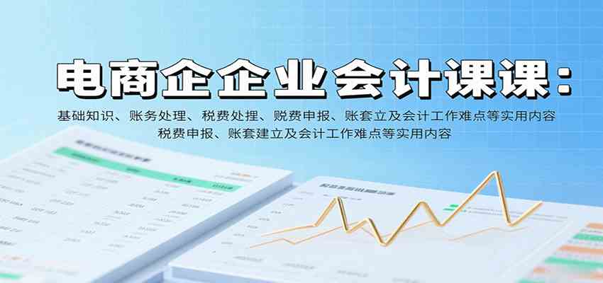 电商企业会计课：基础知识、账务处理、税费申报、账套建立及会计工作难点等实用内容-创业项目网