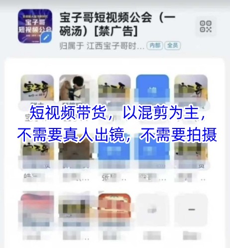宝子哥头部团队短视频带货，以混剪为主，不需要真人出镜，不需要拍摄【更新6月】-创业项目网