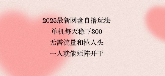 2025最新网盘自撸玩法，单机每天稳下3张，无需流量和拉人头，一个人就可轻松矩阵，全网独一份【揭秘】-创业项目网