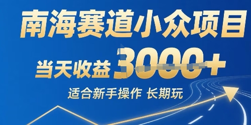 南海赛道小众项目，当天收益1k+适合新手操作可以长期玩-创业项目网