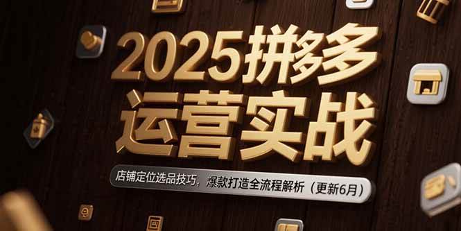 （15235期）2025拼多多运营实战：店铺定位选品技巧，爆款打造全流程解析（更新6月）-创业项目网