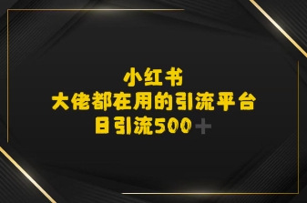 小红书，大佬都在用的大粉平台，日引流500+-创业项目网