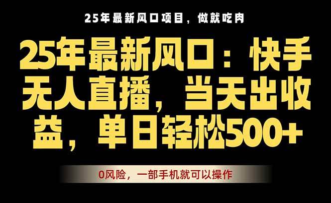 （16007期）25年最新无人直播玩法，当天秒出单，一部手机就可操作-创业项目网