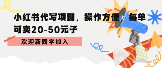 小红书代写项目，操作方便，每单可卖20-50米-创业项目网