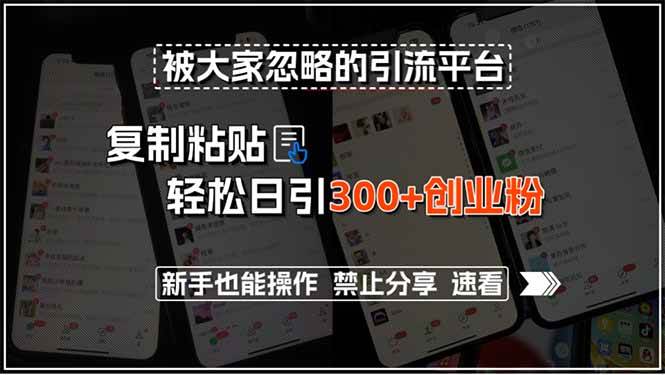 （15428期）被大家忽略的引流平台，复制粘贴轻松日引300+创业粉，新手也能操作，禁…-创业项目网