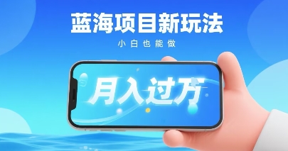 小红书蓝海项目新玩法，一部手机即可月入过W，推荐小白做非常简单认可度超高-创业项目网
