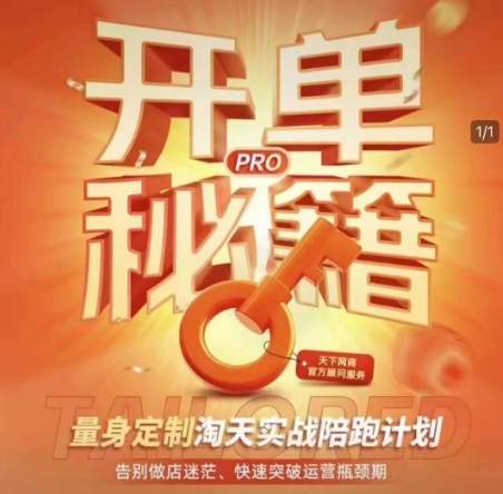 淘宝开单秘籍PRO，量身定制淘天实战陪跑计划，告别做店迷茫、快速突破运营瓶颈期（更新6月）-创业项目网