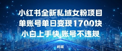 小红书全新私域女粉项目单账号单日变现多张，小白上手快账号不违规建议准备多账号操作-创业项目网