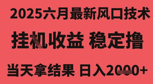 2025六月最新风口技术，无人挂G撸礼物，长期稳定 一个小时收益2k+，小白当天拿结果【揭秘】-创业项目网