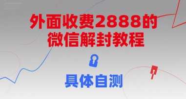 （15301期）外面收费2888的微信解封教程，具体自测-创业项目网