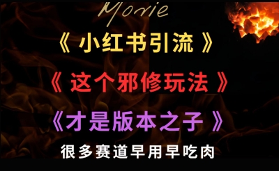 最近小红书引流这个邪修玩法才是版本之子，很多赛道早用早吃肉-创业项目网