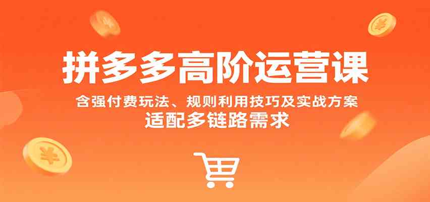 拼多多高阶运营课，含强付费玩法、规则利用技巧及实战方案，适配多链路需求-创业项目网