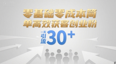 零基础零成本简单高效获客创业粉，一天引流30+-创业项目网