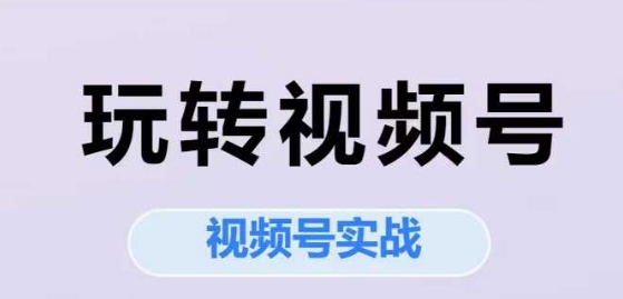 玩转视频号，视频号实战系列课-创业项目网