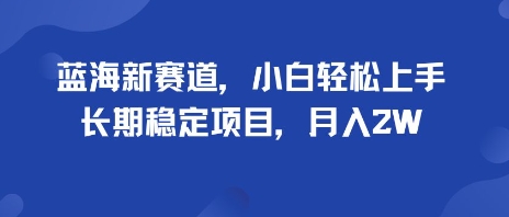 蓝海新赛道，小白轻松上手，长期稳定项目，月入2W-创业项目网