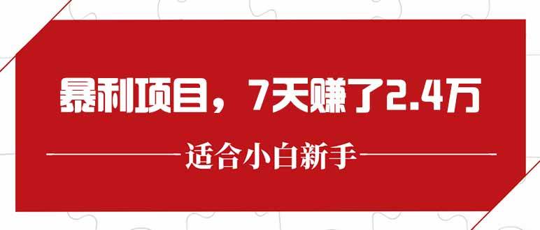 （15228期）最新暴利项目，每单收益轻松在300以上，7天赚了2.4万-创业项目网
